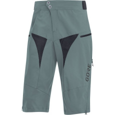 GORE C5 All Mountain Shorts-nordic