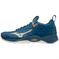 Mizuno Wave Momentum / Hydro/8382C/LegionBlue / 3 Mizuno Wave Momentum / Hydro/8382C/LegionBlue / 3