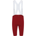 GORE Distance Bib Shorts+ 2.0 Mens