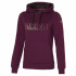 MIZUNO Mizuno Hoodie / Grape Wine / XS