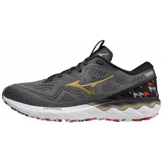 WAVE SKYRISE 2 ( AMS ) / Frost Gray / Gold / Black / WAVE SKYRISE 2 ( AMS ) / Frost Gray / Gold / Black /