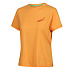 INOV8 GRAPHIC TEE "SKIDDAW" W yellow